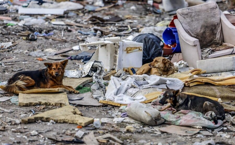 “Rusi spaljivali tela svojih vojnika na deponiji u Hersonu u pokušaju da prikriju gubitke u ratu u Ukrajini": Meštani tvrde za Gardijan 3