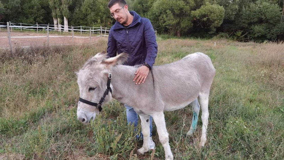 Životinje i troškovi života: Kako se vlasnici nose sa poskupljenjima hrane i opreme za ljubimce 2 Dušan Stojanović i Mihajlo