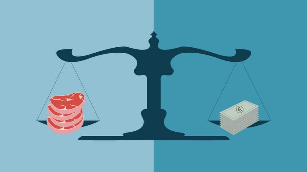 Srbija, razvod i alimentacija: Samohrani roditelji i život bez oslonca 5 Cena mesa