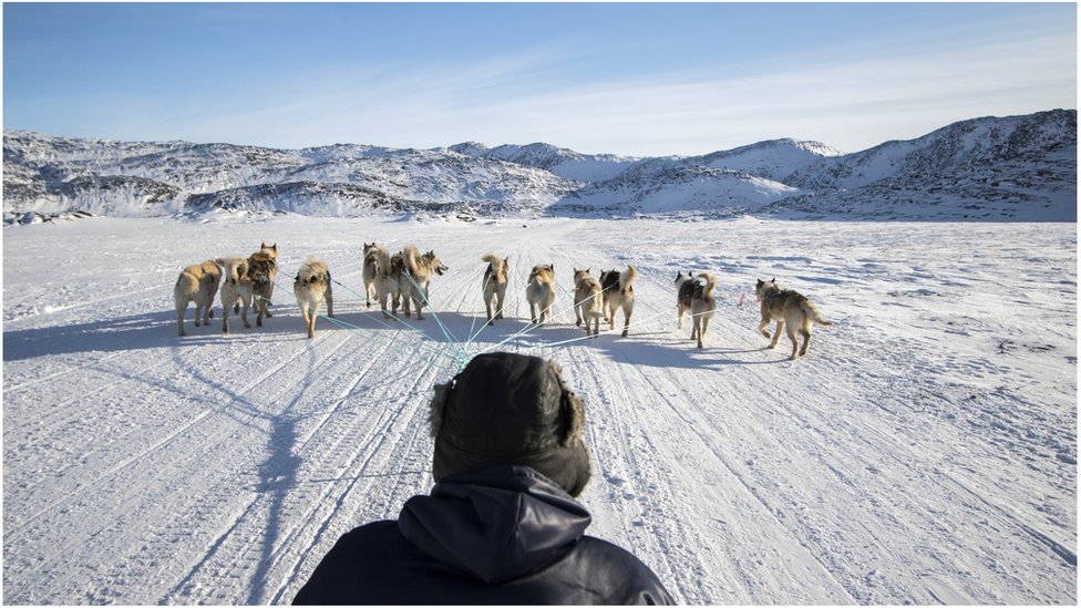 A man riding a sledge across ice pulled by several dogs