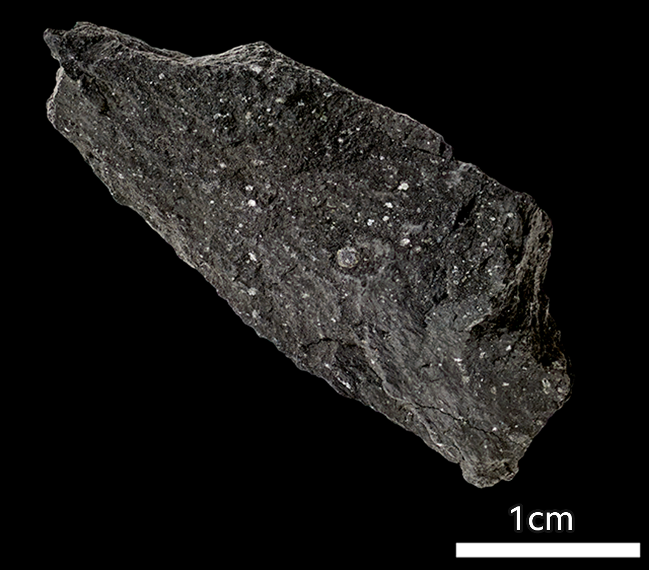 Svemirska istraživanja: Da li je voda na Zemlju stigla iz meteorita 2 Winchcombe meteorite