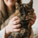Životinje i Ginisovi rekordi: Upoznajte Flosi, koja ima 26 godina i najstarija je mačka na svetu 3