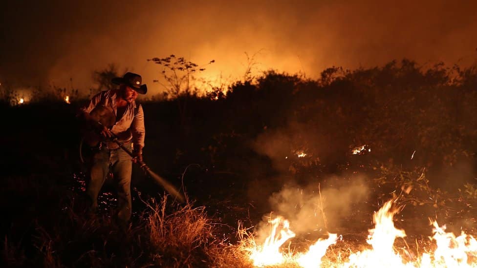 Fire in Pantanal region, Brazil