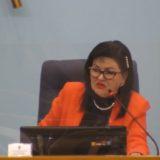 Ko je Nataša Radulović, privremeno predsedavajuća NS RS i šta znači ‘obadati se’? 2