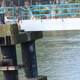 Brana na Tisi kod Novog Bečeja zatvorena, brodovi usmereni na Stajićevo 4