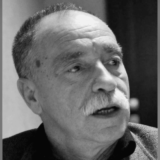 Preminuo pesnik, esejista i književni kritičar Rajko Petrov Nogo 9