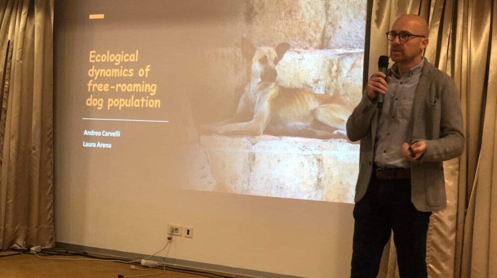 Da li su azili rešenje za pse lutalice? Predstavljena Nacionalna strategija, aktivisti nisu mogli da postave pitanje nadležnima 1