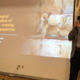 Da li su azili rešenje za pse lutalice? Predstavljena Nacionalna strategija, aktivisti nisu mogli da postave pitanje nadležnima 4