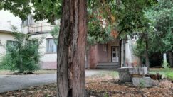 20220901_170947 Zašto zgrada inspekcijskih službi u Zrenjaninu propada iako je vredno arhitektonsko delo 3