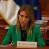 Šta je od imovine prijavila ministarka Dubravka Đedović 11