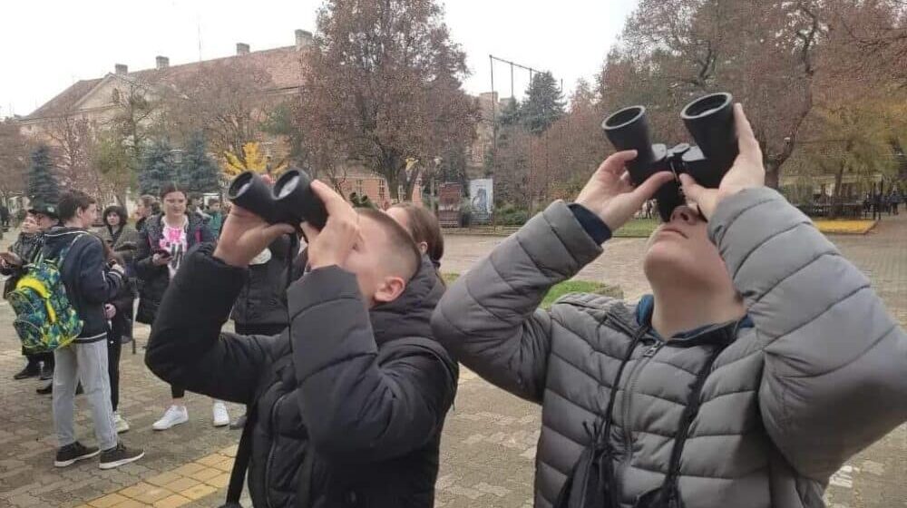 Kikindski mališani brojali sove u svom gradu: U centru izbrojali 190 ptica 1
