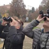 Kikindski mališani brojali sove u svom gradu: U centru izbrojali 190 ptica 2
