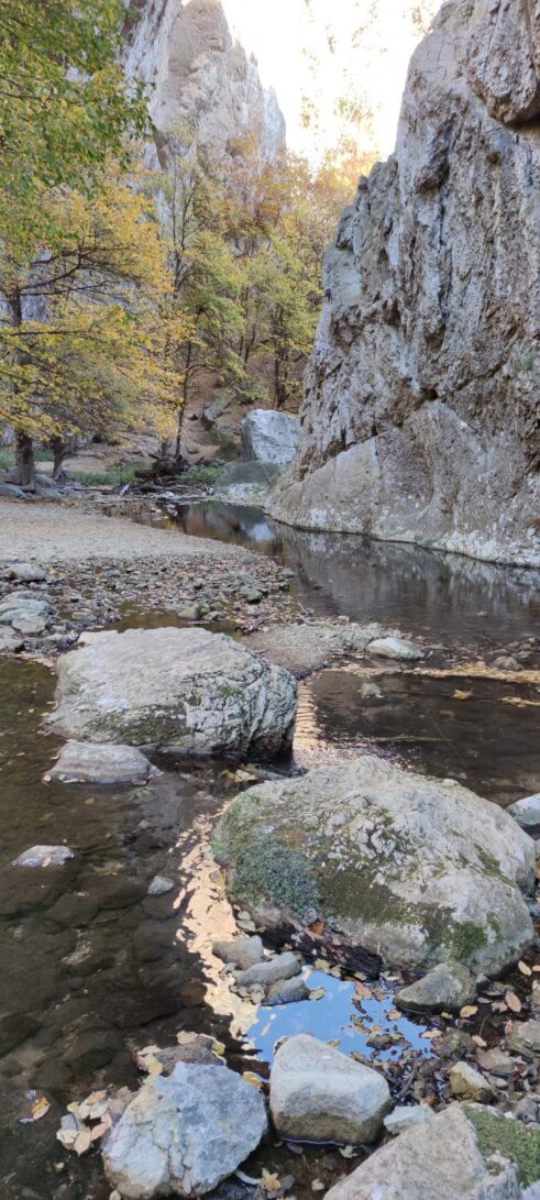 IMG-bb40d4ecb361ed9a87c0672a70237319-V Vratnjanske kapije, čudo prirode u blizini Negotina 7