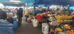 Novosti sa šabačke pijace: Kako da kiseli kupus ostane ukusan tokom cele zime, pita bundevara bude slađa nego ikad, a o pečurkama ni reči 4 Novosti sa šabačke pijace: Kako da kiseli kupus ostane ukusan tokom cele zime, pita bundevara bude slađa nego ikad, a o pečurkama ni reči 4