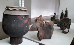 Sofija Bunardžić o koloniji u Zlakusi, kod Užica, na kojoj učesnici uče stari grnčarski zanat i stvaraju umetnička dela 6