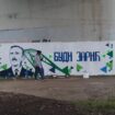 Miladin Zarić dobio mural na Starom savskom mostu 16