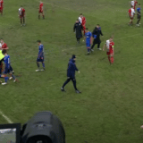 Navijač uleteo na teren i nasrnuo na kadeta Zvezde u Novom Sadu (VIDEO) 2