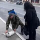 Vozač gradskog autobusa u Nišu pregazio psa na ulici, humani pripadnik Vojske Srbije pomogao povređenoj životinji 6