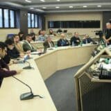 Članica REM-a Višnja Aranđelović: Dozvola za petu nacionalnu frekvenciju do kraja godine 8