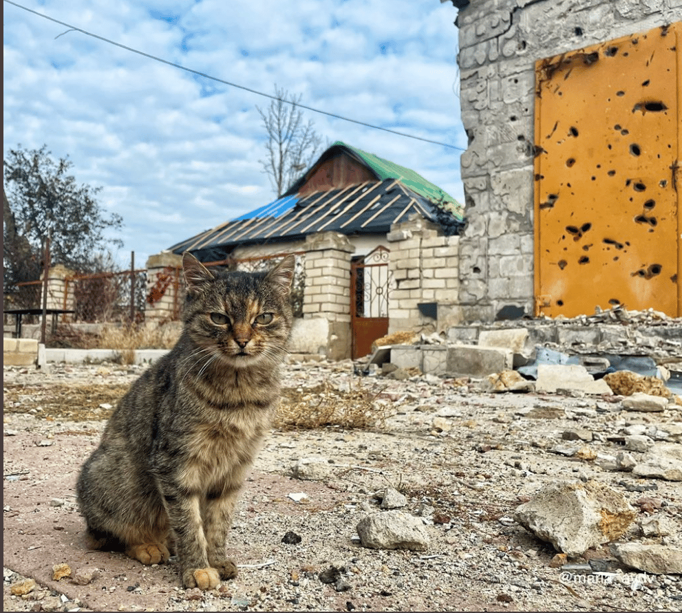 "Silovanje kao vojna strategija ruskih vojnika": Tim iz Kijeva traga za seksualnim zločinima u Hersonu 3