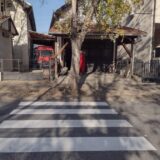 Pešački prelaz koji vodi u drvo, znak koji sprečava ulaz u radnju: Nova saobraćajna signalizacija u kragujevačkom Vašarištu 6