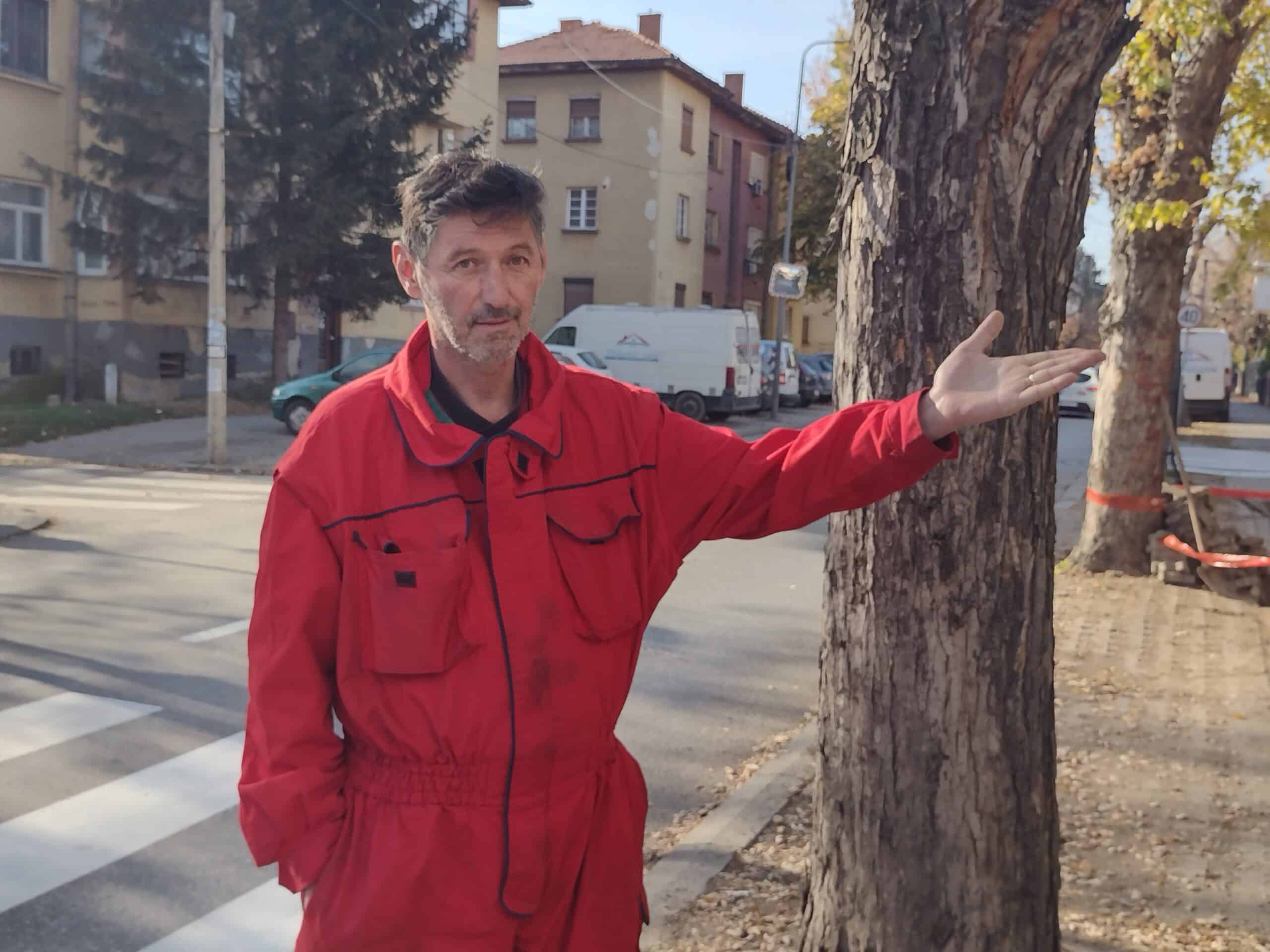 Pešački prelaz koji vodi u drvo, znak koji sprečava ulaz u radnju: Nova saobraćajna signalizacija u kragujevačkom Vašarištu 2