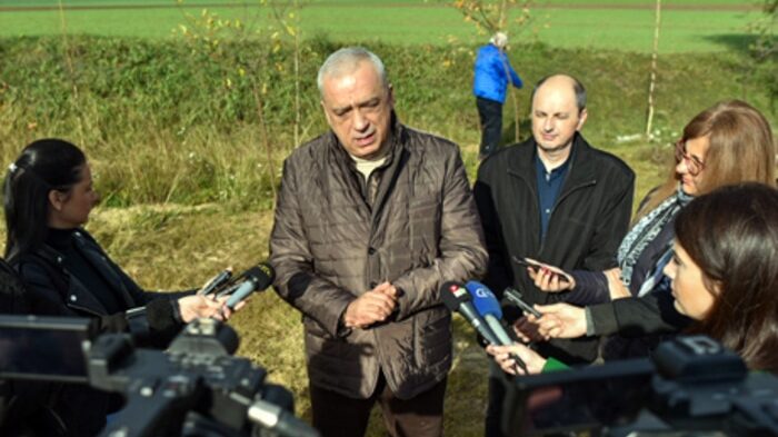 Subotica: U toku sadnja vetrozaštitnog pojasa na Pačirskom putu 1