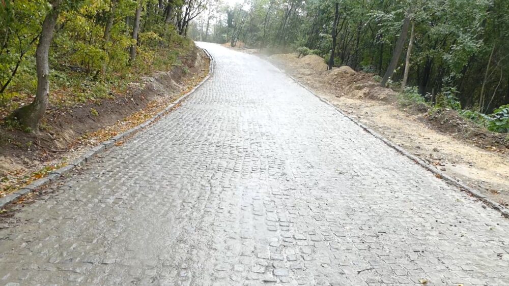 Sud oslobodio odgovornosti suvlasnika Galensa za izgradnju betonskog puta u zaštićenom delu Nacionalnog parka Fruška gora 2 Sud oslobodio odgovornosti suvlasnika Galensa za izgradnju betonskog puta u zaštićenom delu Nacionalnog parka Fruška gora 2