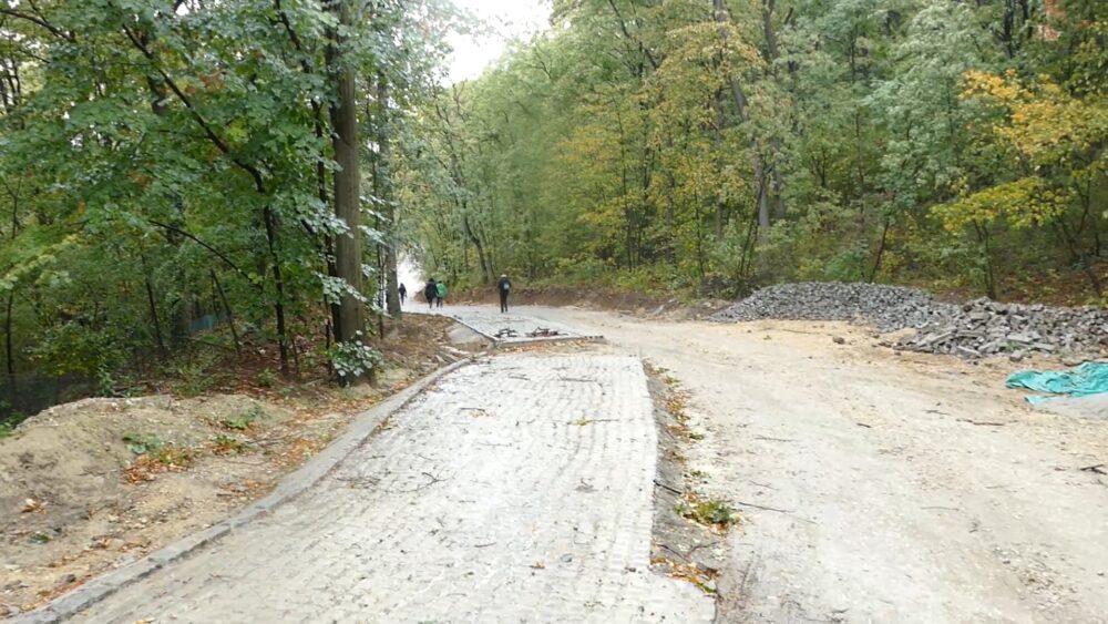 Sud oslobodio odgovornosti suvlasnika Galensa za izgradnju betonskog puta u zaštićenom delu Nacionalnog parka Fruška gora 4
