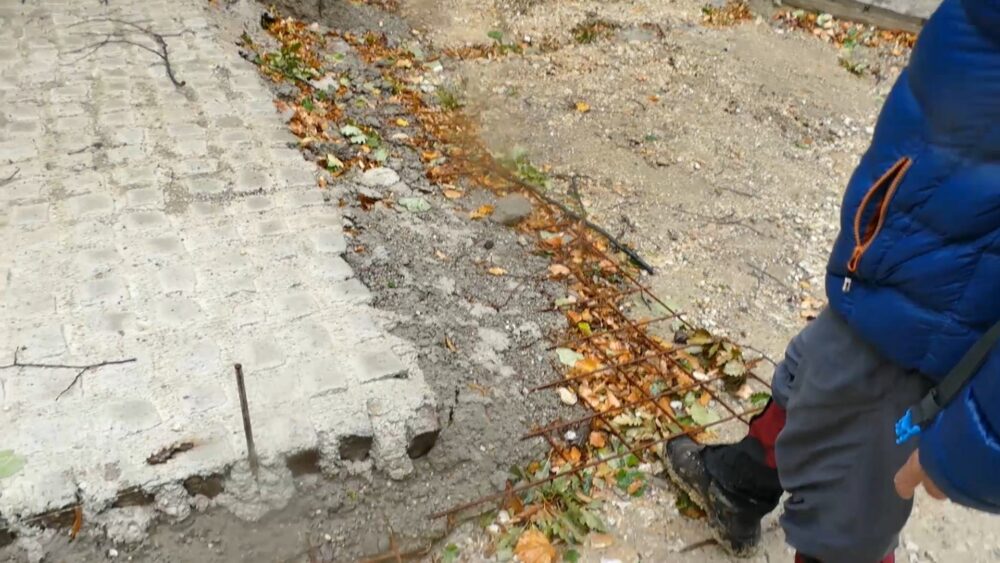 Sud oslobodio odgovornosti suvlasnika Galensa za izgradnju betonskog puta u zaštićenom delu Nacionalnog parka Fruška gora 3 Sud oslobodio odgovornosti suvlasnika Galensa za izgradnju betonskog puta u zaštićenom delu Nacionalnog parka Fruška gora 3