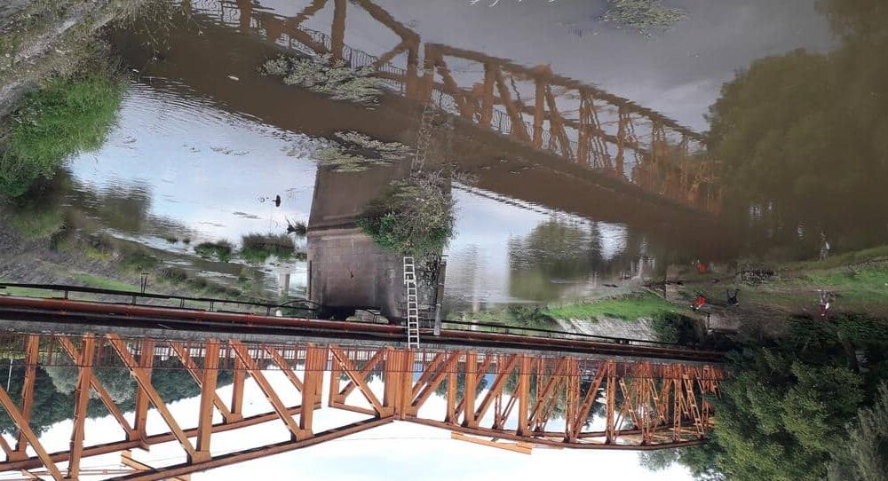 U okolini Vranja izlila se Južna Morava, evakuisano devet osoba 1