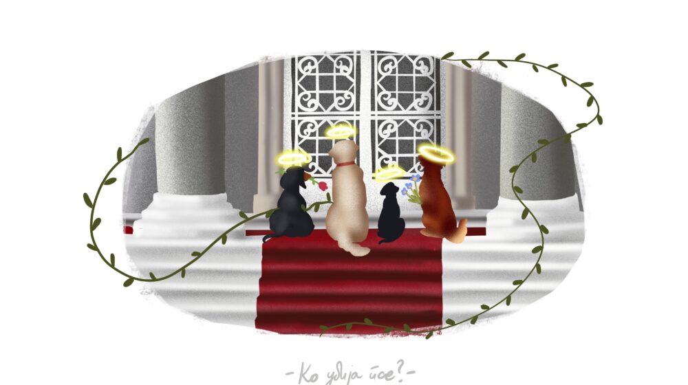 Kad država izda dozvolu za ubistvo 1