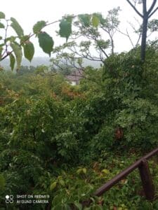 "Upozorenje 'naivnim Srbima'": Manje poznati detalji biografije Arčibalda Rajsa - Švajcarca sa Kajmakčalana 4