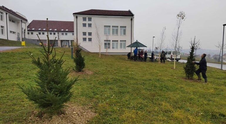 U dvorištu valjevske škole „Milovan Glišić” posađeno drveće 1
