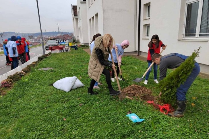U dvorištu valjevske škole „Milovan Glišić” posađeno drveće 2
