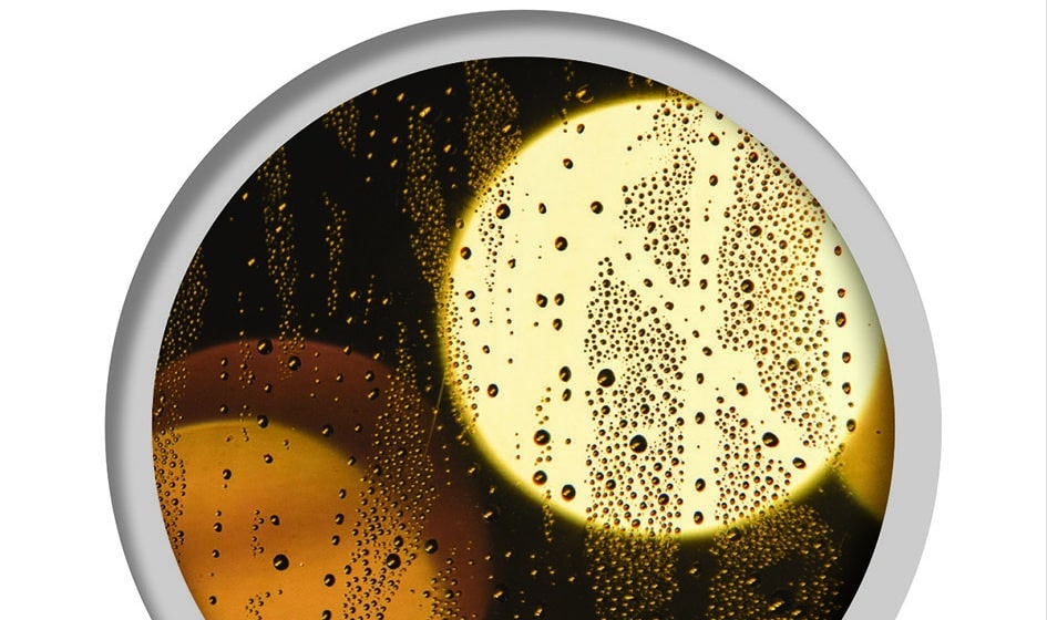 Nova edicija Arhipelaga Autopoetike: Zagonetni "Kalem" Vaska Pope povodom 100 godina rođenja književnog velikana 1