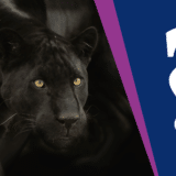 Zašto crni panter privlači toliku pažnju javnosti: Senzacionalizam i skretanje pažnje sa poskupljenja 14