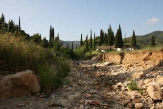 Poskoci ne skaču ni na Svetoj gori: Biolog Rastko Ajtić proučavao vodozemce i gmizavce Atosa 5
