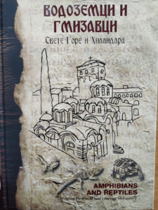 Poskoci ne skaču ni na Svetoj gori: Biolog Rastko Ajtić proučavao vodozemce i gmizavce Atosa 18