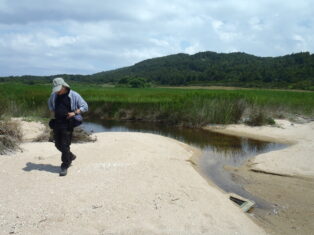 Poskoci ne skaču ni na Svetoj gori: Biolog Rastko Ajtić proučavao vodozemce i gmizavce Atosa 10