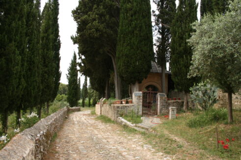 Poskoci ne skaču ni na Svetoj gori: Biolog Rastko Ajtić proučavao vodozemce i gmizavce Atosa 13