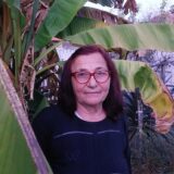 “Ne razlikuju se od onih iz prodavnice, imaju isti ukus i miris”: U dvorištu porodice iz Vražogrnca kod Zaječara rastu banane 1