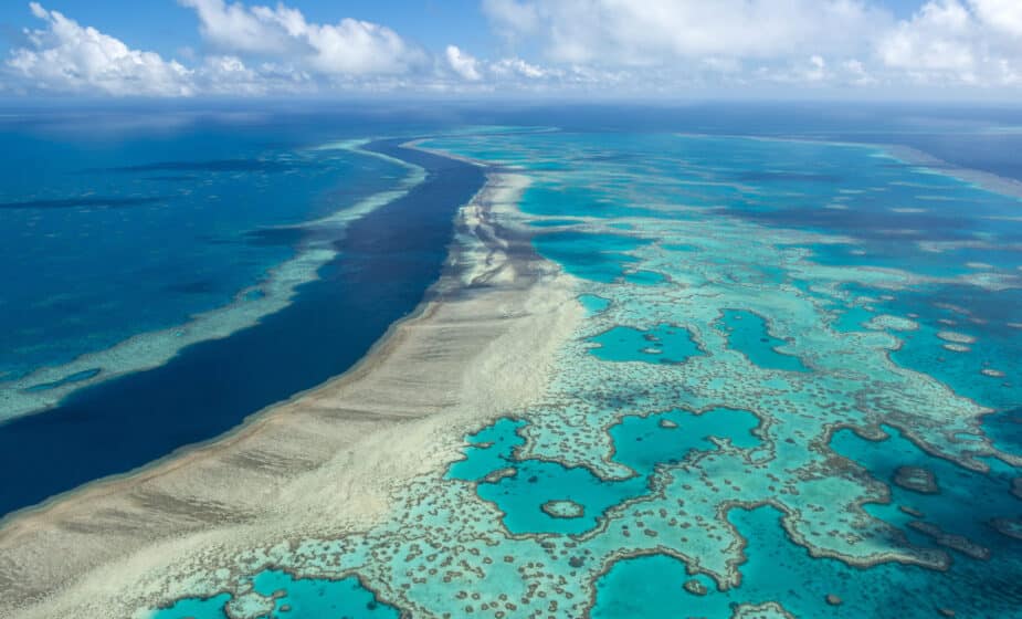 UN: Veliki koralni greben treba staviti na listu ugrožene svetske baštine 1