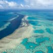 UN: Veliki koralni greben treba staviti na listu ugrožene svetske baštine 18