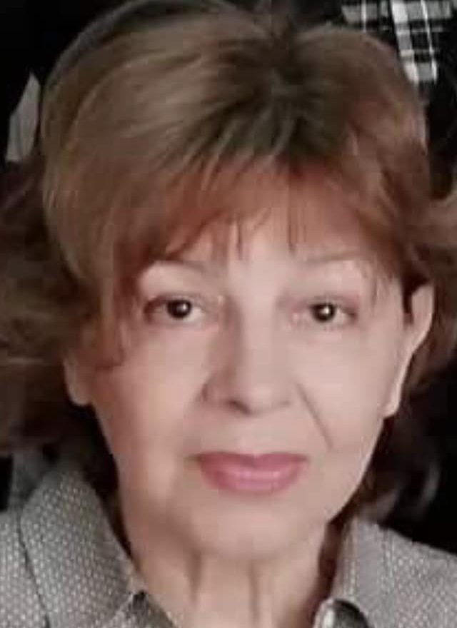 Svetlana Dejanović Avramović Nerazvijena opština Aleksinac izdvaja stotine hiljada evra za "ujede" napuštenih pasa: Privatno prihvatilište nudi rešenja, a nisu spremni da ga čuju 6