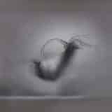 Muzej grada Minhena dobija značajnu donaciju fotografkinje Ane Mandelbaum 12