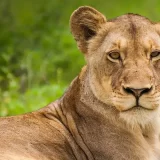 Foto konkurs u Zoološkom vrtu u Jagodini 13