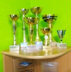 medalje Plivanje u porodici Janković iz Tomaševca je najnormalnija stvar, a najmlađi član Mateja je najperspektivniji plivač "Proletera" 3