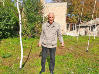 U Zrenjaninu počela rekonstrukcija Karađorđevog parka: Obelodanjeno koliko će stabala biti posečeno 2