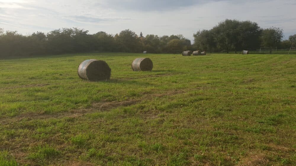 Nova Crnja raspisala javni poziv za zakup poljoprivrednog zemljišta 1